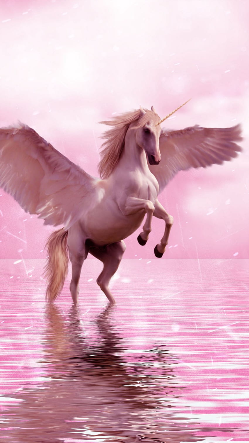 unicorn, wings, horse, fantasy, Pink Unicorn HD phone wallpaper