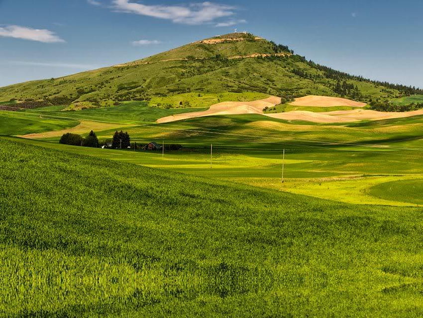 Grassy Mountain, grass, sky, field, mountain HD wallpaper