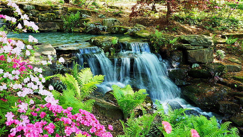 Petite cascade au printemps, rivière, cascades, arbres, fleurs, parc Fond d'écran HD