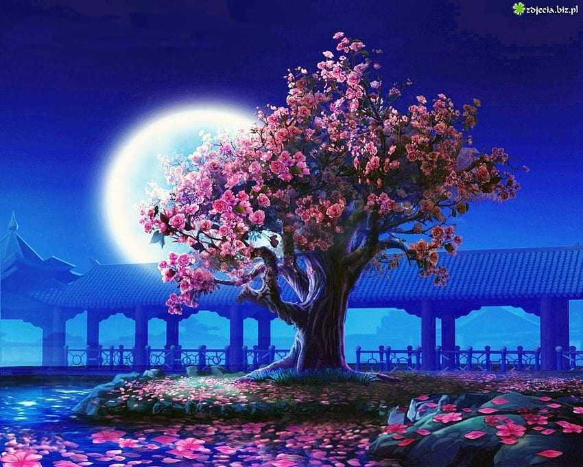 バラの木、夜、ピンク、月、ファンタジー 高画質の壁紙
