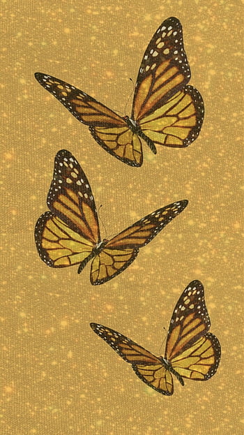 Aesthetic yellow butterfly HD wallpapers  Pxfuel
