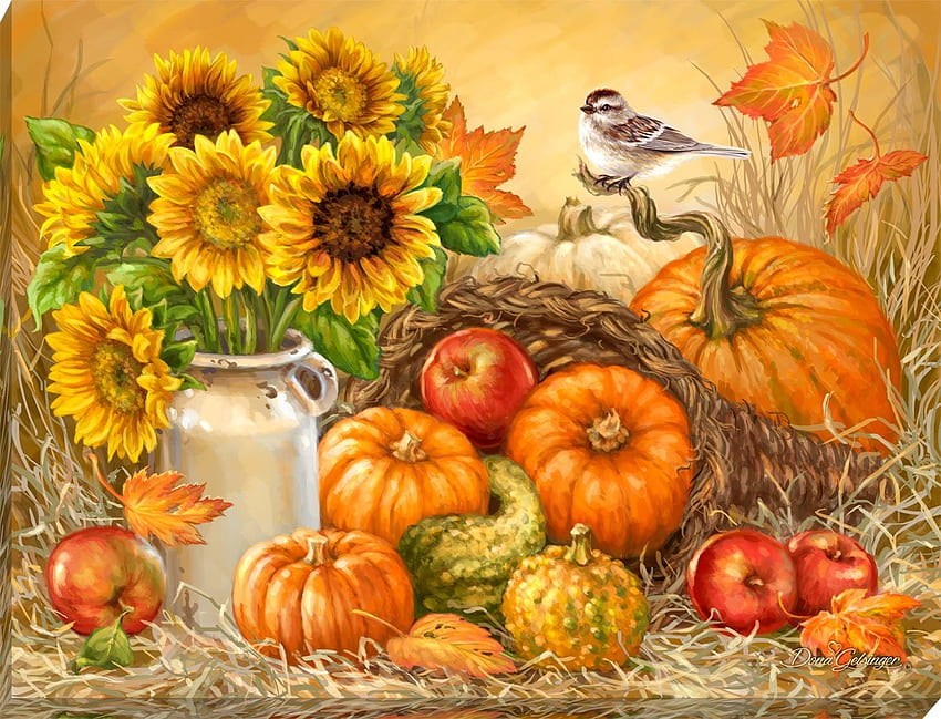 Bountiful Harvest, pumpkins, colors, harvest, bountiful HD wallpaper