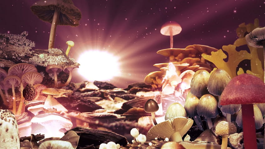 ~Mushroom World~, world, abstract, fantasy, universe HD wallpaper