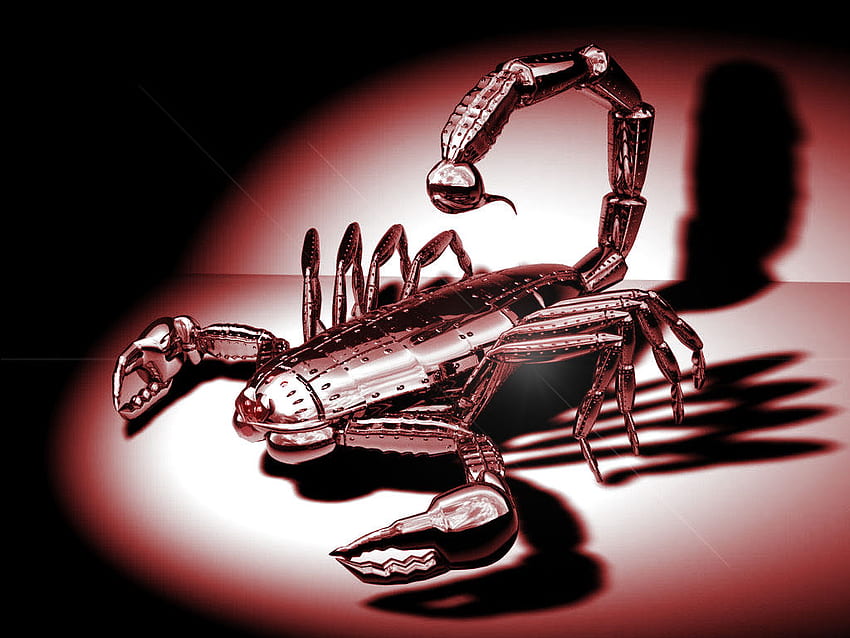 Roter Skorpion, metallisch, Metall, Skorpion, rot HD-Hintergrundbild