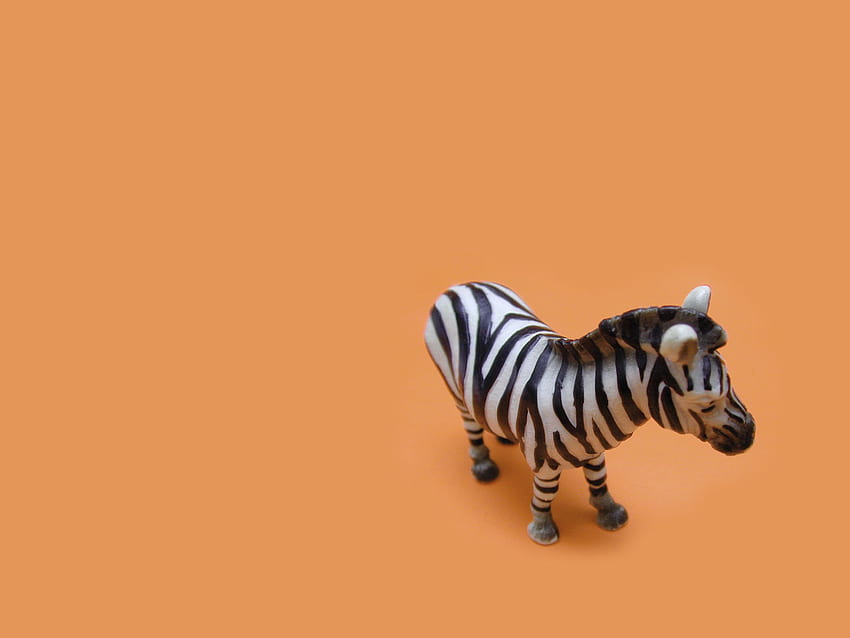 Zebra !!!, animal, abstract, 3d-art, zebra, orange HD wallpaper