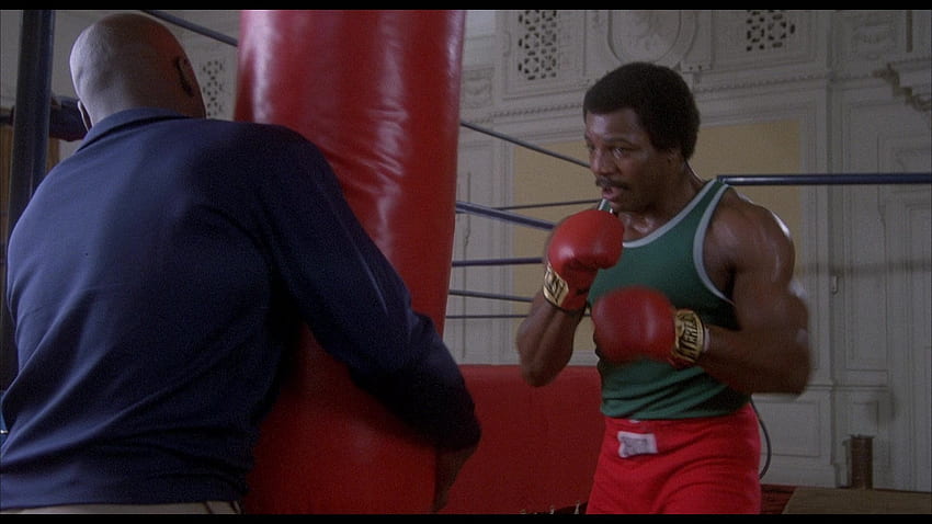 Luvas de boxe Everlast usadas por Carl Weathers (Apollo Creed) papel de parede HD