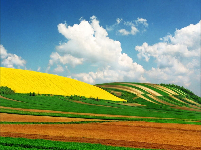 風景, 自然, 田畑, 空, 雲 高画質の壁紙
