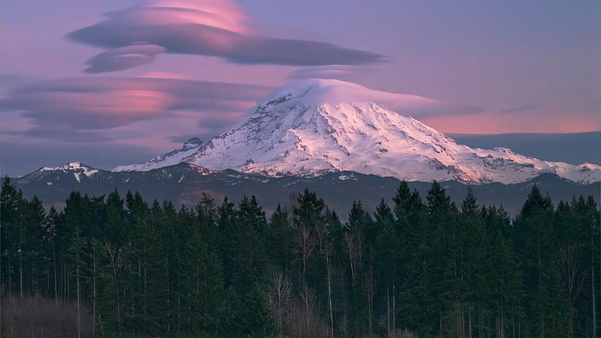 Mount Rainier Seattle, Seattle Mountains HD wallpaper