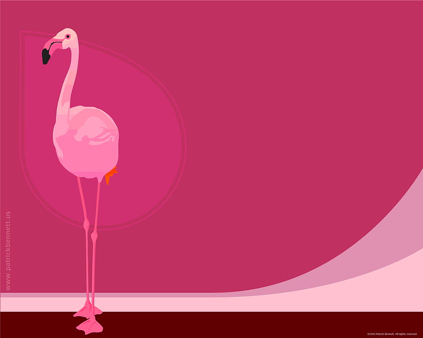Flamingo Computer , Background. . Flamingo , Flamingo color, Pink flamingo , Cute Flamingo HD wallpaper