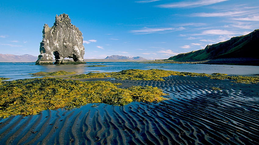 Nature Sea Coast Beach Indication Greener Grass K On, Iceland Nature HD wallpaper