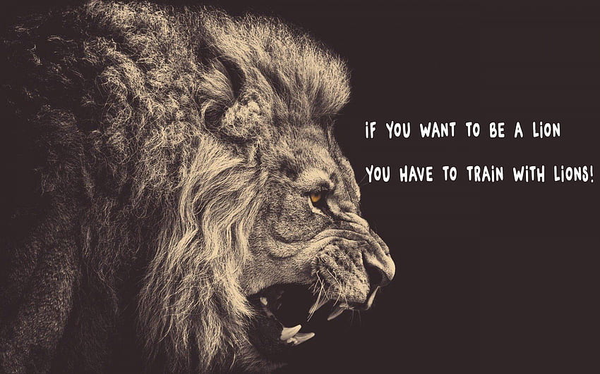 lion, Quote / and Mobile Background, Lion Motivation Bible HD wallpaper