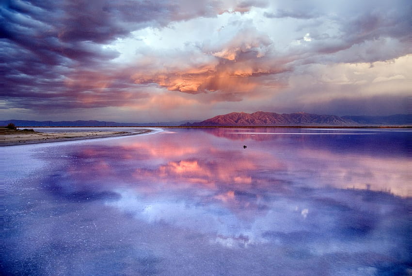 Reflexões Rosa, azul, mar, oceanos, grafia, reflexões, nascer do sol, lagos, rosa, natureza, céu papel de parede HD