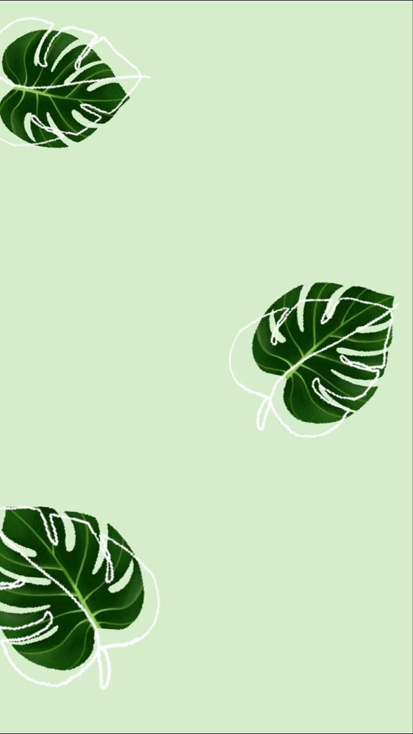 . iPhone grün, mintgrün, Blätter iphone, grüne minimalistische Ästhetik HD-Handy-Hintergrundbild