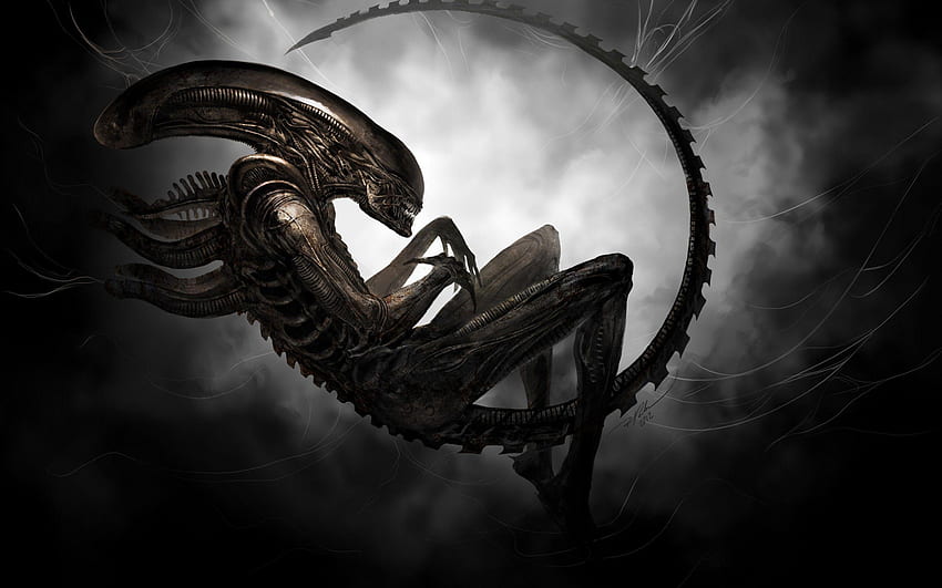 Aliens, Cool Xenomorph HD wallpaper