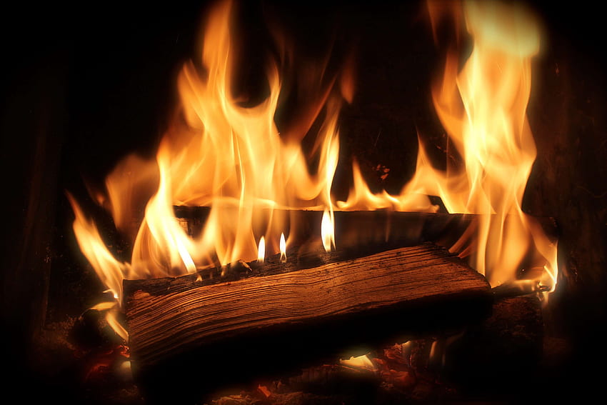 fire, fireplace, firewood, flames, heat, wood HD wallpaper
