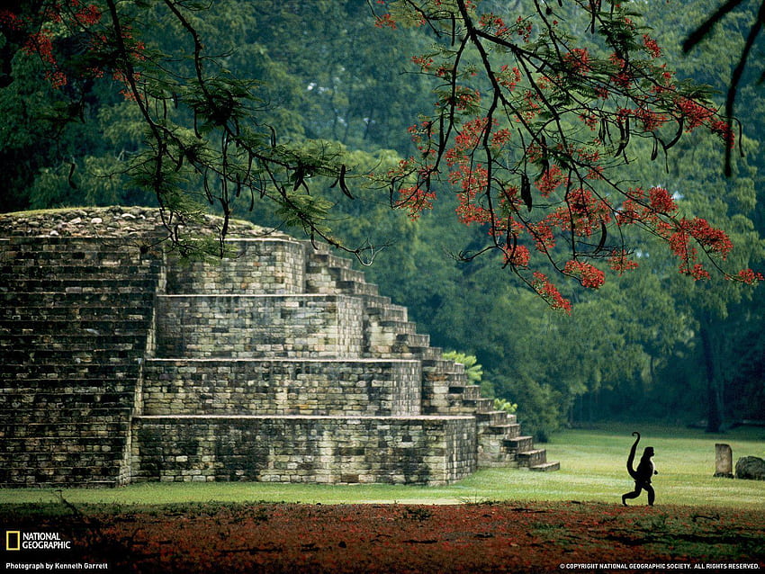 Honduras, Honduras Landscape HD wallpaper