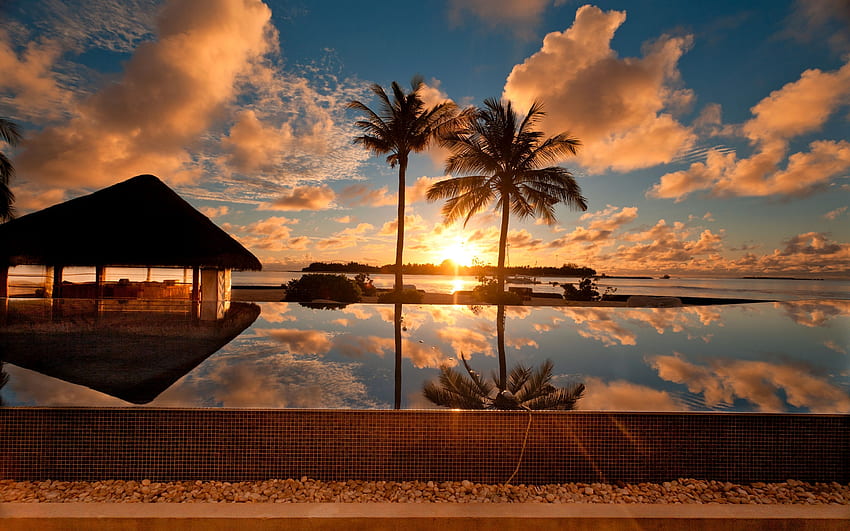 Sonnenuntergang am Palm Beach, Meer, Reflexion, Palme, Wolken, Bäume, Natur, Sonnenuntergang, Strand HD-Hintergrundbild