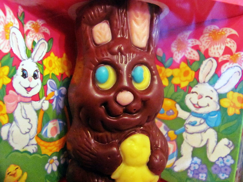 Шоколадово великденско зайче, великденски бонбони, великденско зайче, шоколадово зайче HD тапет