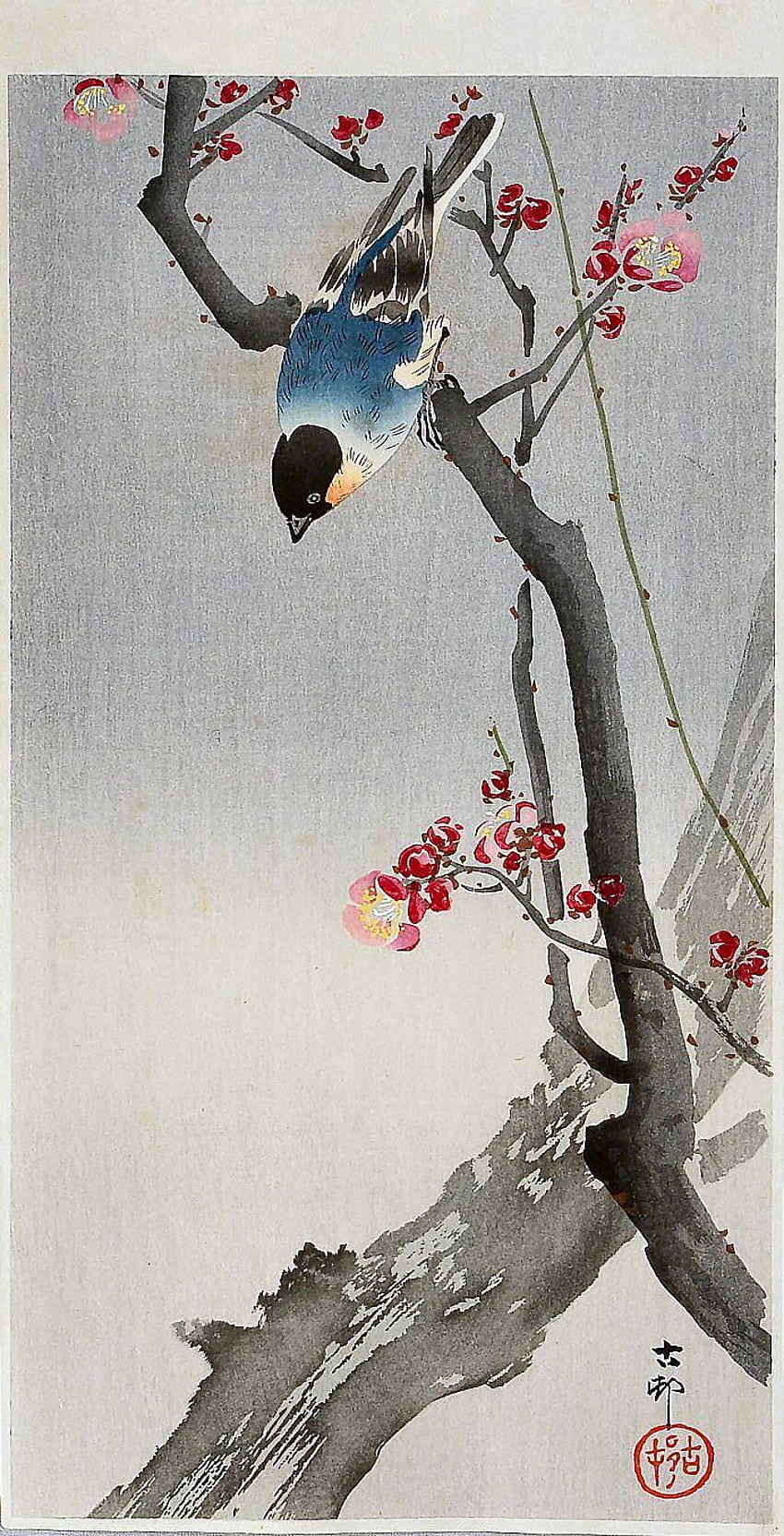 梅の木にとまる青い鳥。 大原古邨、日本人と日本、日本の鳥の芸術 HD電話の壁紙