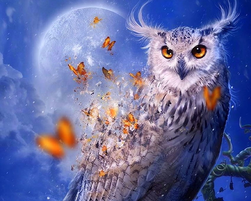 Spirit of Owl, zima, sztuka cyfrowa, Sowa, kreatywne gotowe, motyle, miłość cztery pory roku, fantasy, zwierzęta, projekty motyli, księżyce Tapeta HD