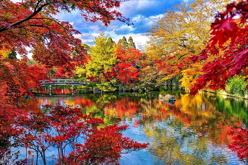 Japanese Garden, Japanese Fall HD wallpaper