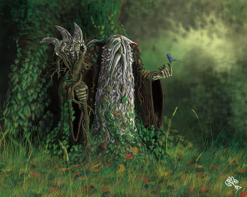 Old Druid - Fantasy Wizard - & Background HD wallpaper