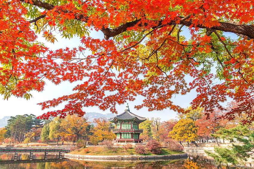 Клен през есента в Корея, листа, есен, дървета, мост, езеро, парк HD тапет