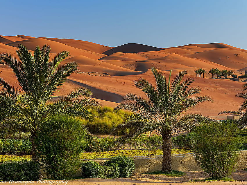 Emirates UAE Abu Dhabi Desert Nature Hill Tropics, Uae Landscape HD wallpaper