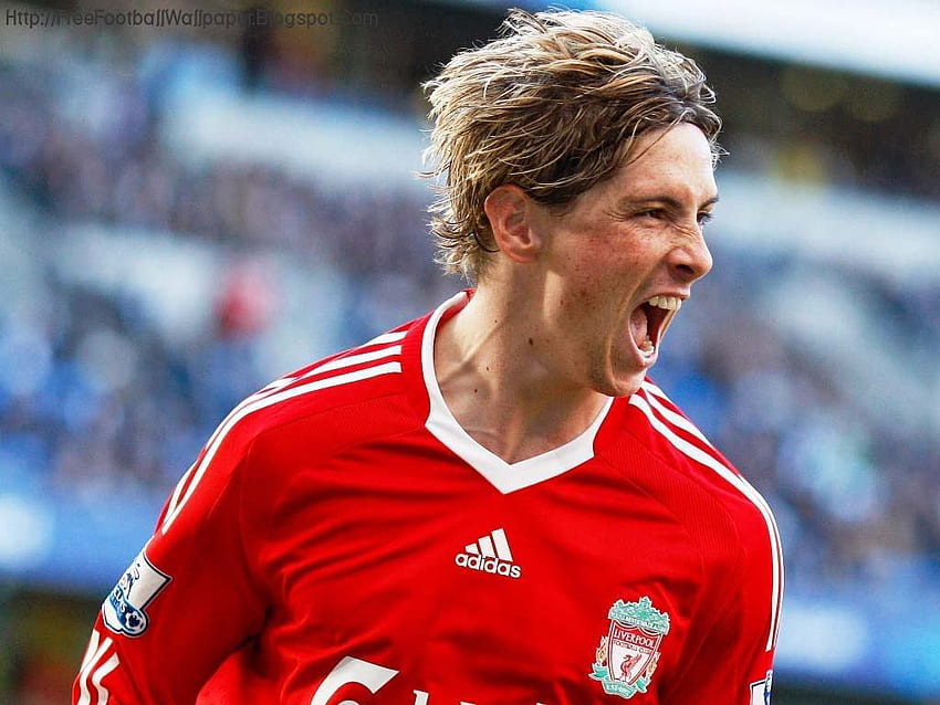 Fer Torres - Fernando Torres, Fernando Torres Liverpool HD wallpaper