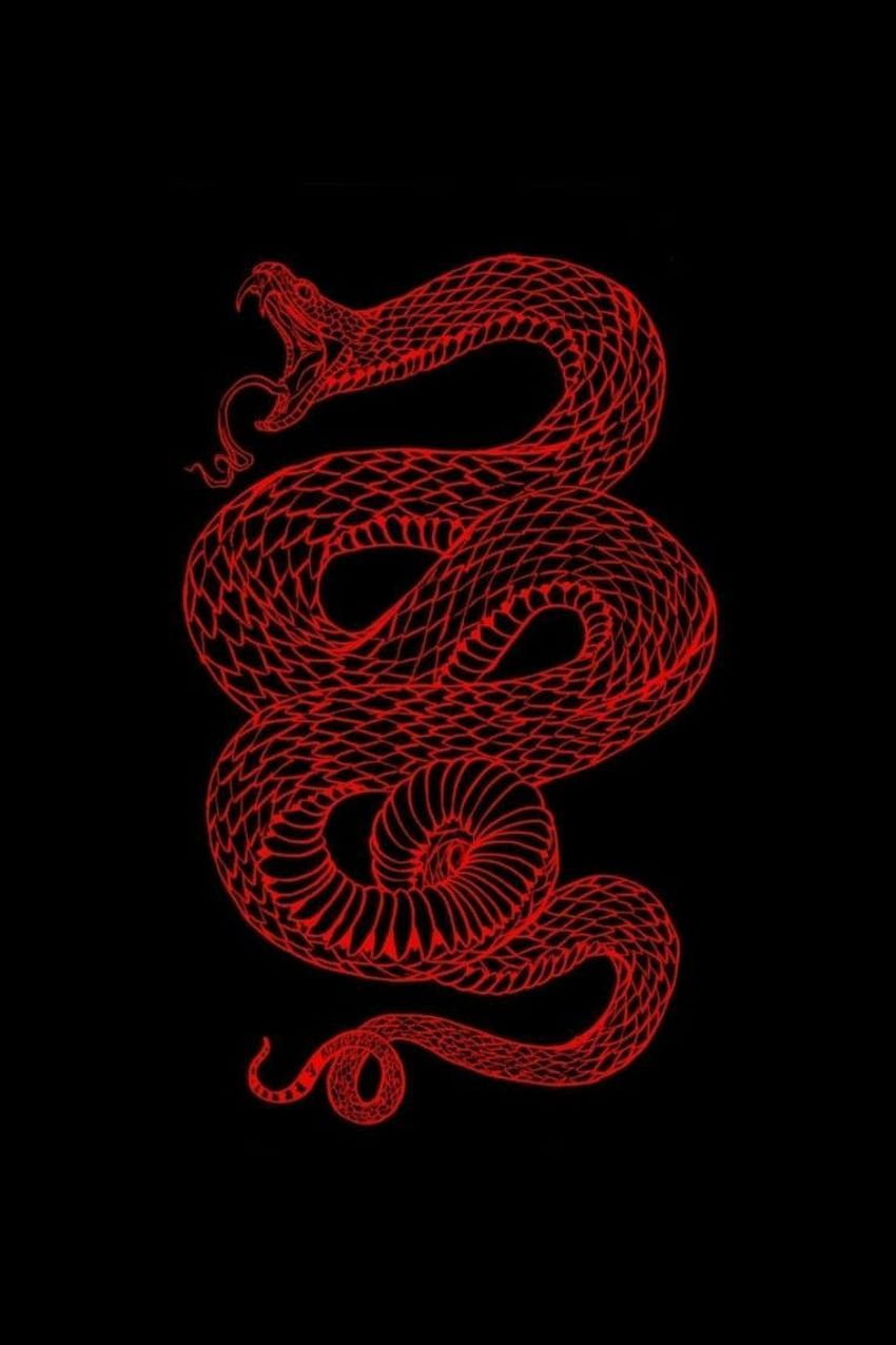 Rote Schlange. Schlange, kantig, roter ästhetischer Grunge, japanische Schlange HD-Handy-Hintergrundbild