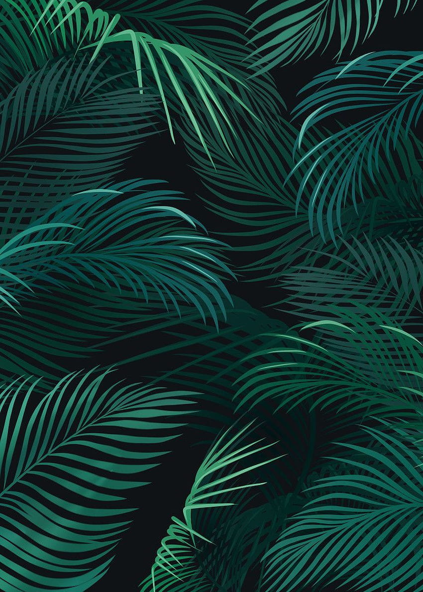ジェイス・アンダーソンによる「暗い背景にヤシの葉」のポスター。 変位します。 葉のiphone、暗い背景、緑、美的熱帯の葉 HD電話の壁紙