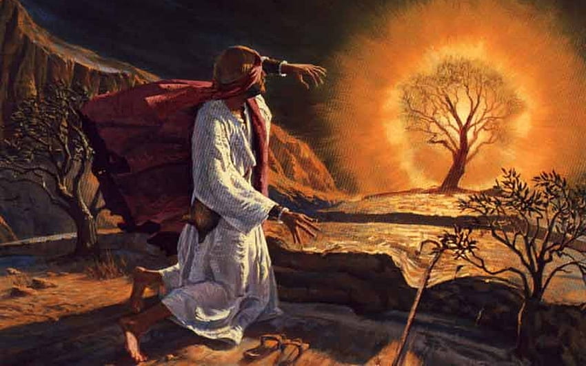Moses and the Burning Bush, Moses, God, desert, bush, burning HD wallpaper