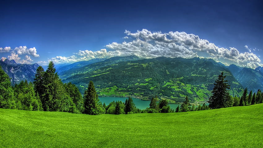 Góra . Bujna zielona trawa górska pełna natura, góra sekwoi Tapeta HD