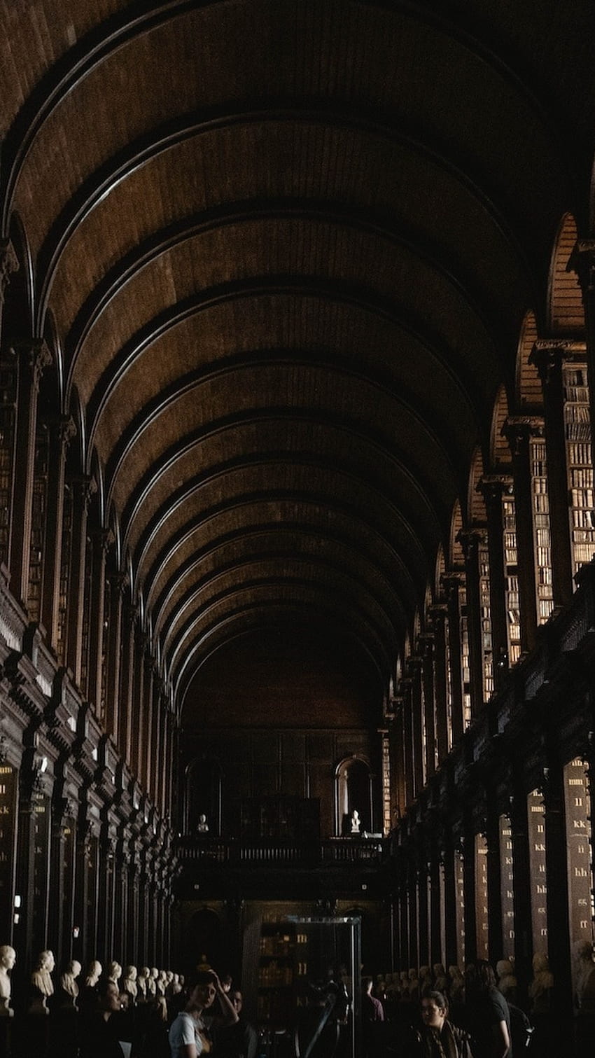 Dark Academia, Library, Aesthetic HD phone wallpaper