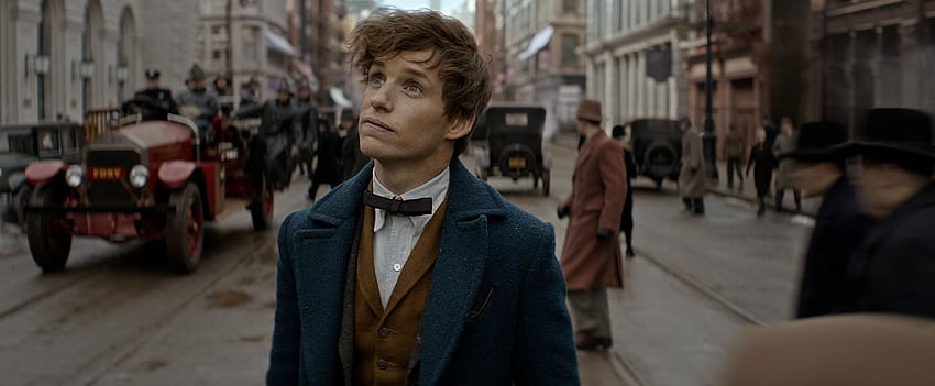 Fantastic Beasts and Where to Find Them, Newt Scamander HD wallpaper