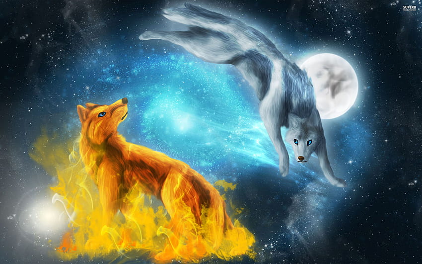 Wolf and Moon, Blue Moon and Wolf HD wallpaper