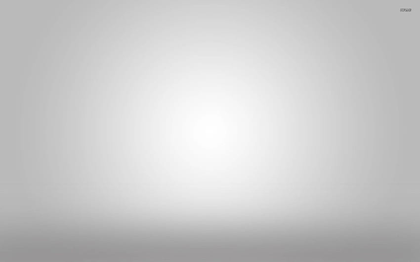 Light Grey Background, Gray Ombre HD wallpaper