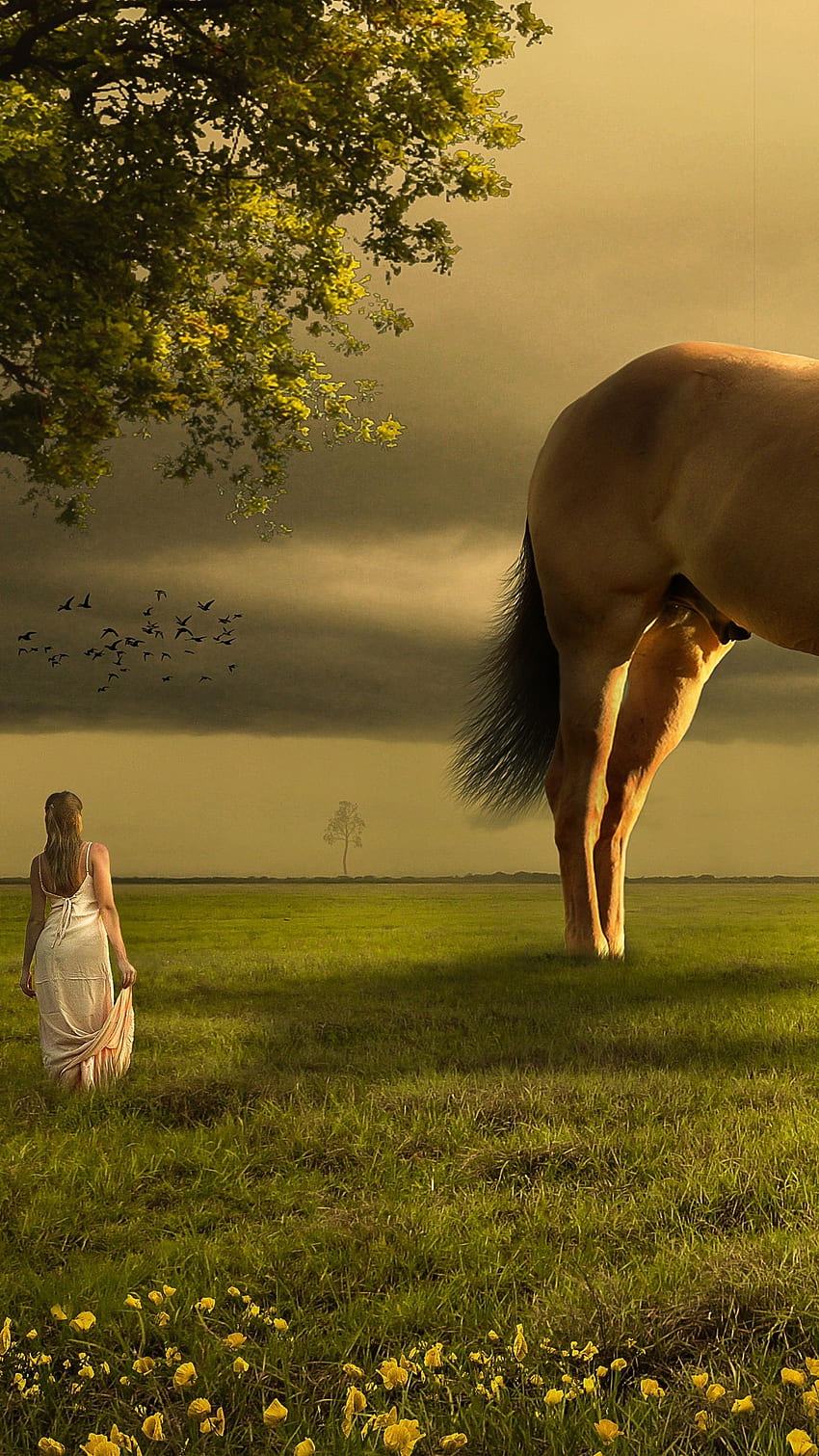 Horse, Teen girl, Dream, Landscape, Atmosphere,, Spring Horse HD phone wallpaper