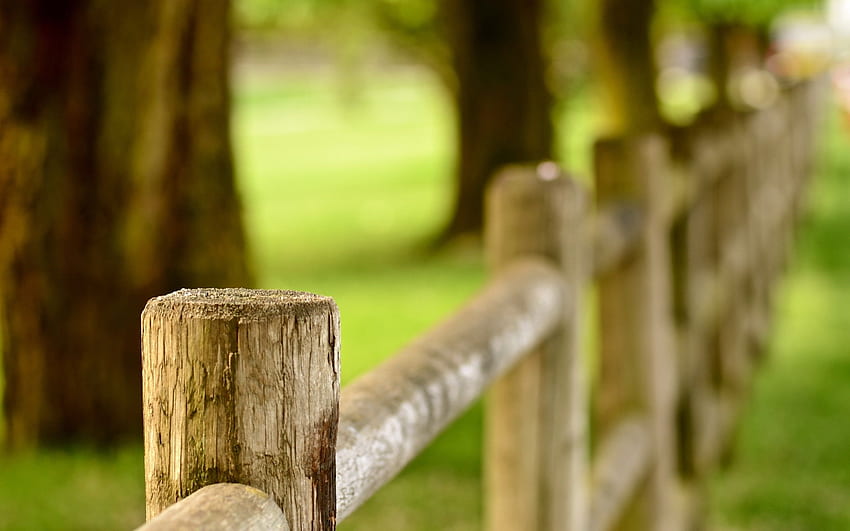 Wooden, Fence, , , , , , , Nature HD wallpaper