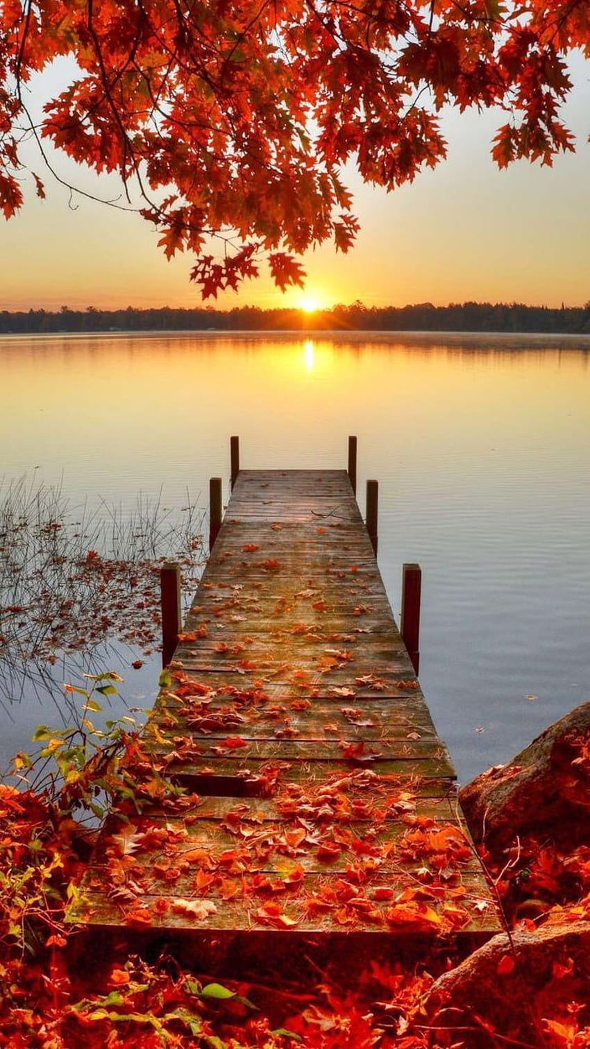 Bestes Fall-iPhone - Schöner Herbst-Sonnenuntergang - u. Hintergrund HD-Handy-Hintergrundbild