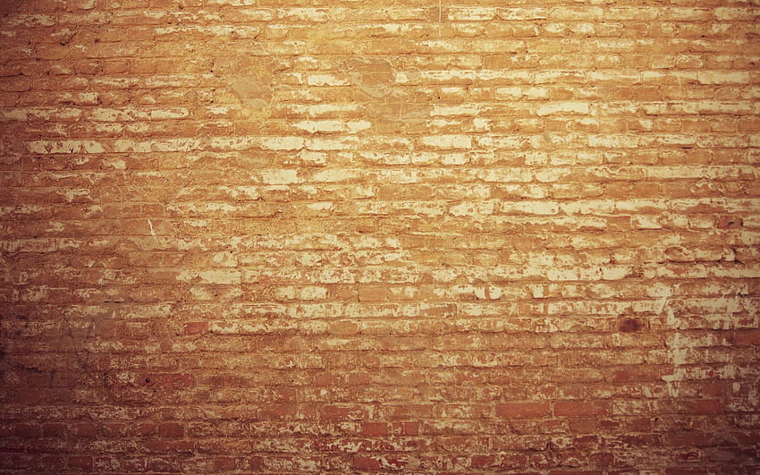 Texture, Background, Light, Textures, Surface, Wall, Light Coloured, Brick HD wallpaper