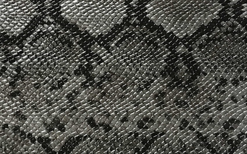 textura de pele de cobra cinza, textura de pele de cobra papel de parede HD