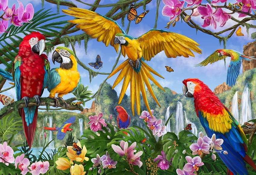 Parrots, orchids d, bird, art, marcello conti, summer, painting, flower, pictura, jungle, pasari, vara, parrot HD wallpaper