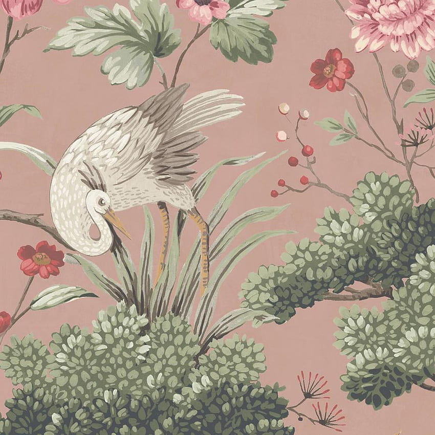 Polly  Parrot Wallpaper by Eades  Draw  Eades  Draw