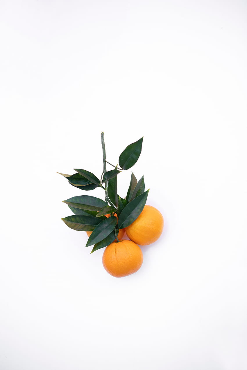 Food Tangerines Minimalism Branch Citrus Hd Phone Wallpaper Pxfuel
