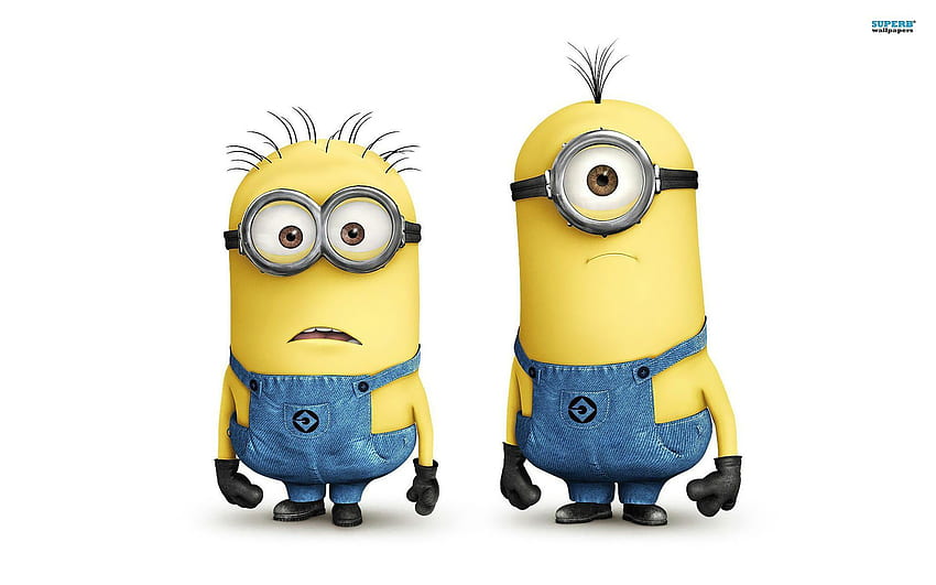 Minions Despicable Me Group, Cute Despicable Me Minions HD wallpaper