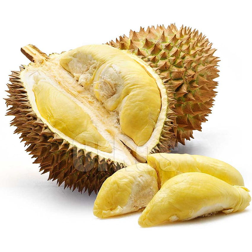 Frische Durian-Frucht HD-Handy-Hintergrundbild