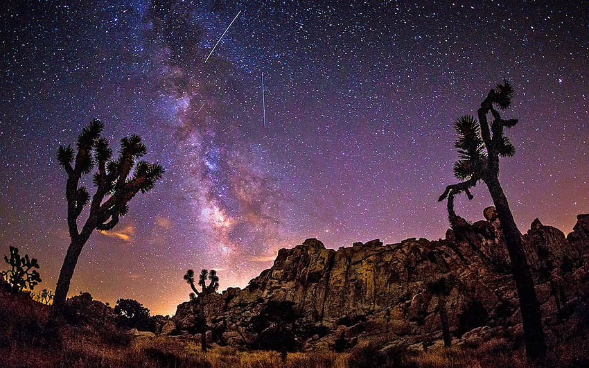 Céu da Via Láctea sobre Joshua Trees no deserto, Desert Night Sky papel de parede HD