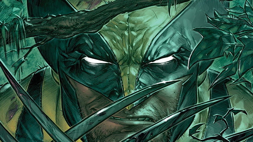 X Men Wolverine, Bloody Wolverine Comic HD wallpaper