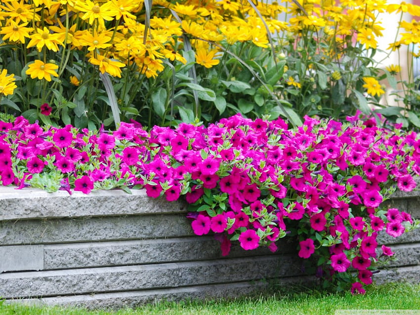 Taman bunga, taman, indah, bunga, bagus Wallpaper HD